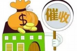 田东为什么选择专业追讨公司来处理您的债务纠纷？